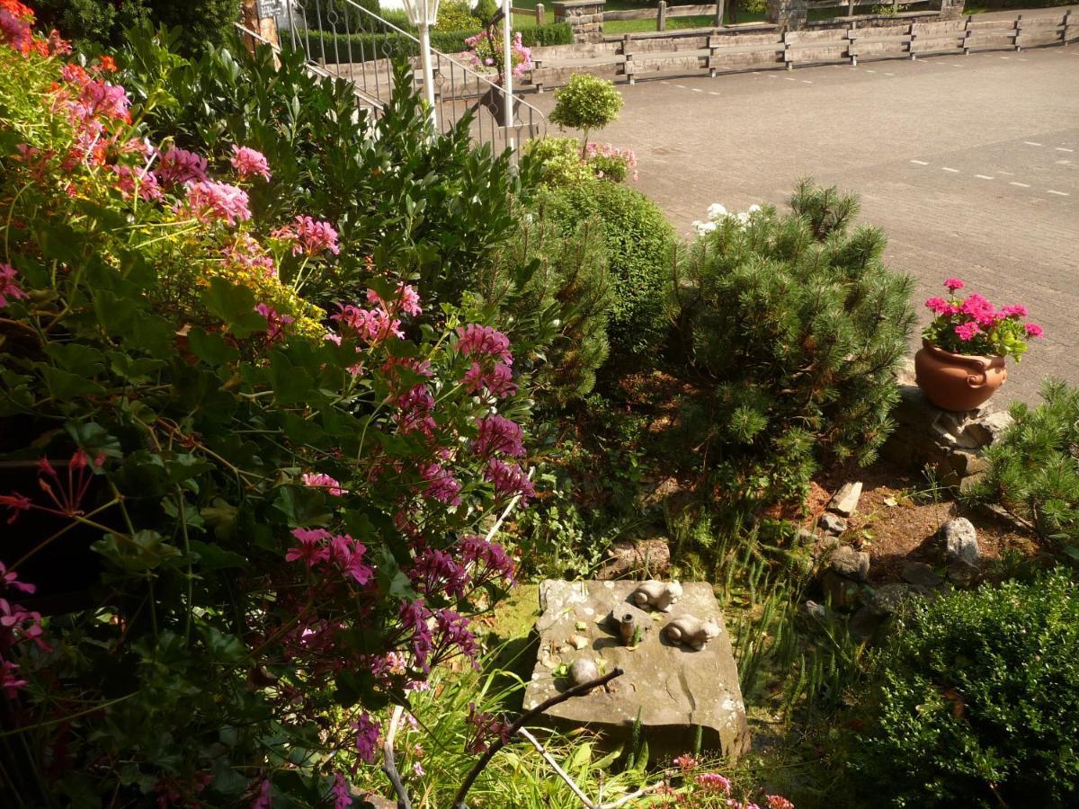 Hotel "Woiler Hof" Garni Eslohe Dış mekan fotoğraf